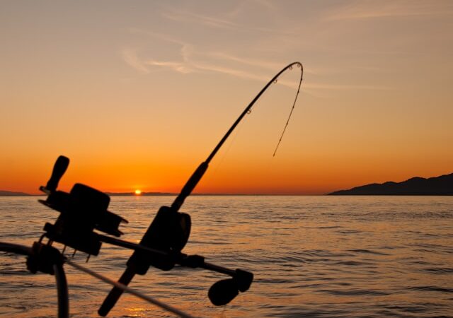 Quels sont les endroits pour faire de la pêche sportive?