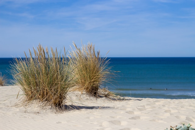 Les trésors des plages de Gironde que vous devez découvrir