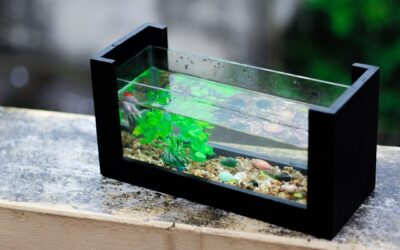 Un aquarium propre